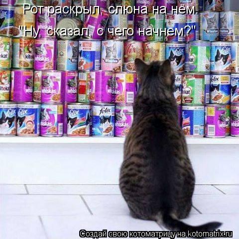 "Ну, сказал, с чего начнем?" Рот раскрыл, слюна на нём.... Котоматрица: "Ну, сказал, с чего начнем?" Рот раскрыл, слюна на нём.