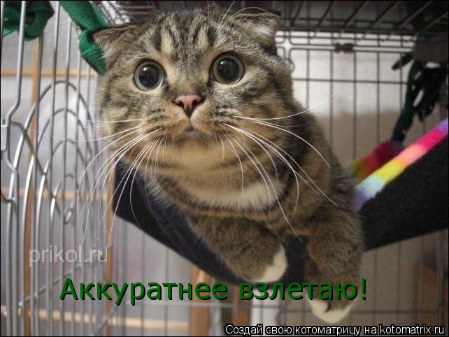 Аккуратнее взлетаю!... Котоматрица: Аккуратнее взлетаю!