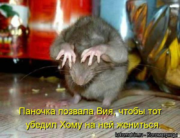 Паночка позвала Вия, чтобы тот убедил Хому на ней жениться.... Котоматрица: Паночка позвала Вия, чтобы тот убедил Хому на ней жениться.