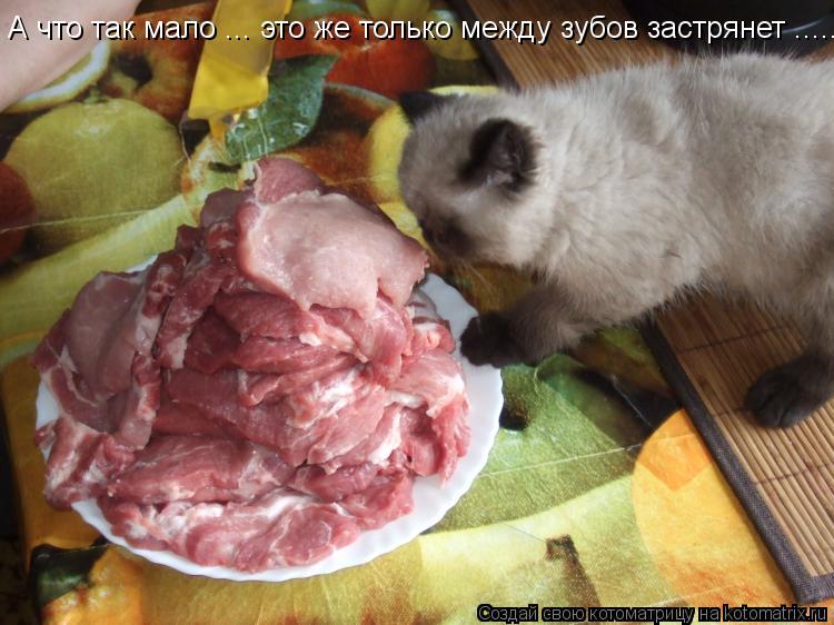 А что так мало ... это же только между зубов застрянет .............. Котоматрица: А что так мало ... это же только между зубов застрянет ...........