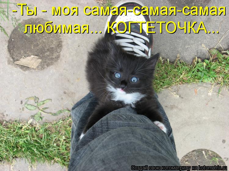 -Ты - моя самая-самая-самая любимая... КОГТЕТОЧКА...... Котоматрица: -Ты - моя самая-самая-самая любимая... КОГТЕТОЧКА...