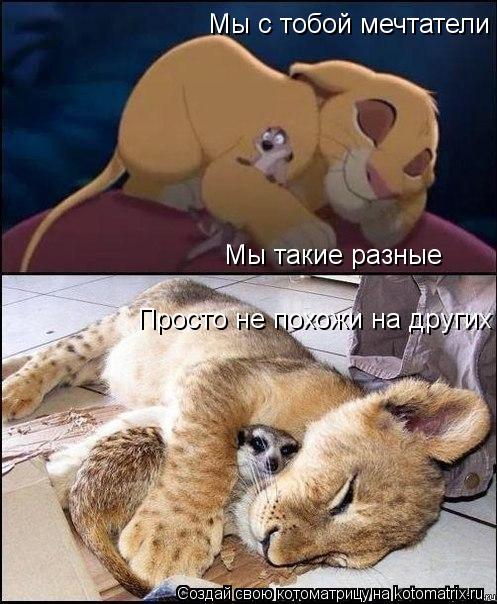 Мы с тобой мечтатели Мы такие разные Просто не похожи на других... Котоматрица: Мы с тобой мечтатели Мы такие разные Просто не похожи на других