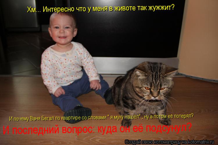 Хм... Интересно что у меня в животе так жужжит? И почему Ваня Бегал по квартире со словами " я муху н... Котоматрица: Хм... Интересно что у меня в животе так жужжит? И почему Ваня Бегал по квартире со словами " я муху нашёл" , ну а потом её потерял? И последний в