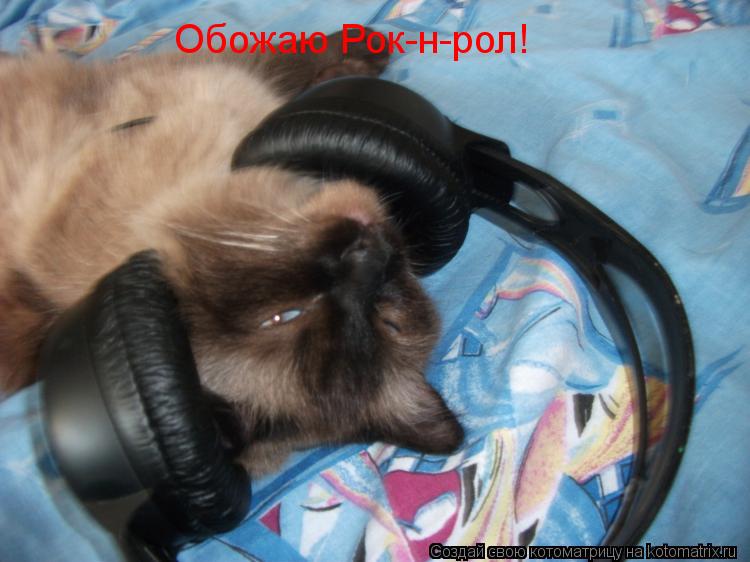 Обожаю Рок-н-рол!... Котоматрица: Обожаю Рок-н-рол!