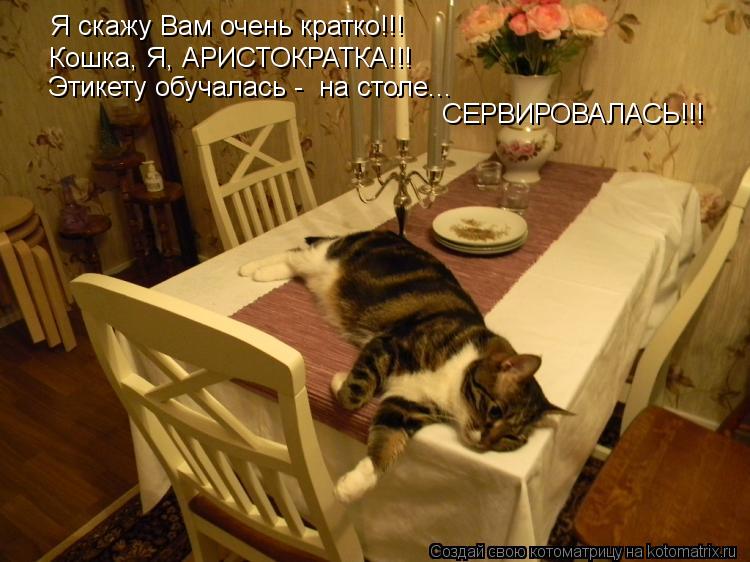 Я скажу Вам очень кратко!!! Кошка, Я, АРИСТОКРАТКА!!! Этикету обучалась - на столе... СЕРВИРОВАЛАСЬ!... Котоматрица: Я скажу Вам очень кратко!!! Кошка, Я, АРИСТОКРАТКА!!! Этикету обучалась - на столе... СЕРВИРОВАЛАСЬ!!!