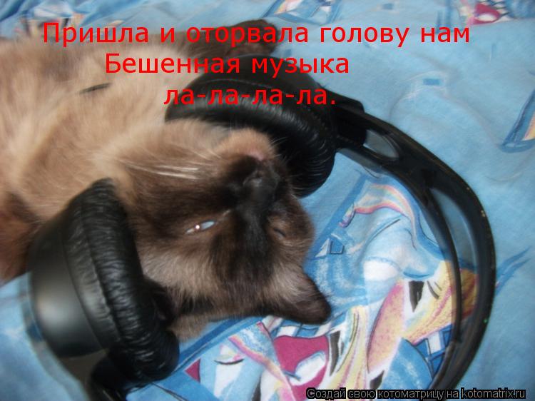 Пришла и оторвала голову нам Бешенная музыка ла-ла-ла-ла.... Котоматрица: Пришла и оторвала голову нам Бешенная музыка ла-ла-ла-ла.