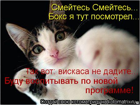 Смейтесь Смейтесь... Бокс я тут посмотрел... Так вот: вискаса не дадите... Буду воспитывать по новой ... Котоматрица: Смейтесь Смейтесь... Бокс я тут посмотрел... Так вот: вискаса не дадите... Буду воспитывать по новой программе!