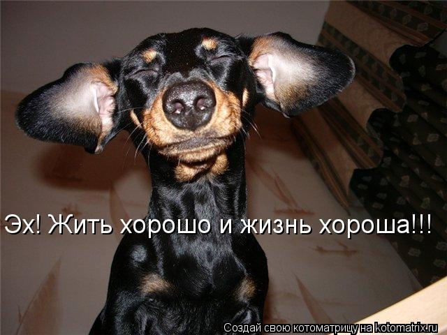 Эх! Жить хорошо и жизнь хороша!!!... Котоматрица: Эх! Жить хорошо и жизнь хороша!!!