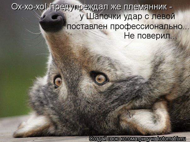Ох-хо-хо! Предупреждал же племянник - у Шапочки удар с левой поставлен профессионально... Не поверил... Котоматрица: Ох-хо-хо! Предупреждал же племянник - у Шапочки удар с левой поставлен профессионально... Не поверил...