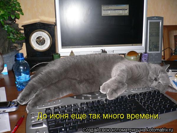 До июня еще так много времени.... Котоматрица: До июня еще так много времени.
