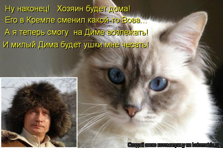 Его в Кремле сменил какой-то Вова... Ну наконец! Хозяин будет дома! А я теперь смогу на Диме возле... Котоматрица: Его в Кремле сменил какой-то Вова... Ну наконец! Хозяин будет дома! А я теперь смогу на Диме возлежать! И милый Дима будет ушки мне чесать!