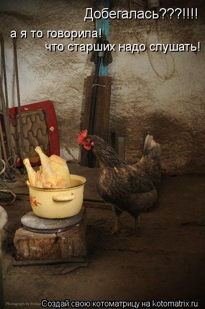 Добегалась???!!!! а я то говорила! что старших надо слушать!... Котоматрица: Добегалась???!!!! а я то говорила! что старших надо слушать!