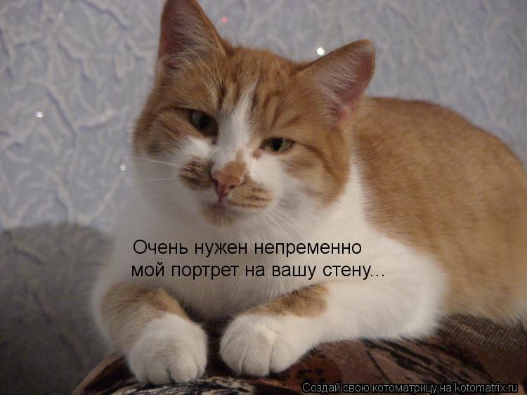 Очень нужен непременно мой портрет на вашу стену...... Котоматрица: Очень нужен непременно мой портрет на вашу стену...
