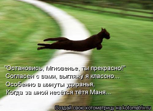 Котоматрица: "Остановись, Мгновенье, ты прекрасно!" Согласен с вами, выгляжу я классно... Особенно в минуты удиранья, Когда за мной несётся тётя Маня...