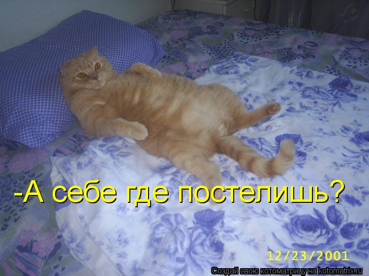 -А себе где постелишь?... Котоматрица: -А себе где постелишь?