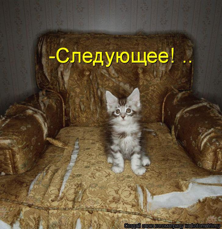 -Следующее! ..... Котоматрица: -Следующее! ..