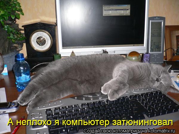 А неплохо я компьютер затюнинговал... Котоматрица: А неплохо я компьютер затюнинговал