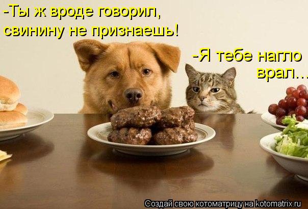 -Ты ж вроде говорил, свинину не признаешь! -Я тебе нагло врал...... Котоматрица: -Ты ж вроде говорил, свинину не признаешь! -Я тебе нагло врал...