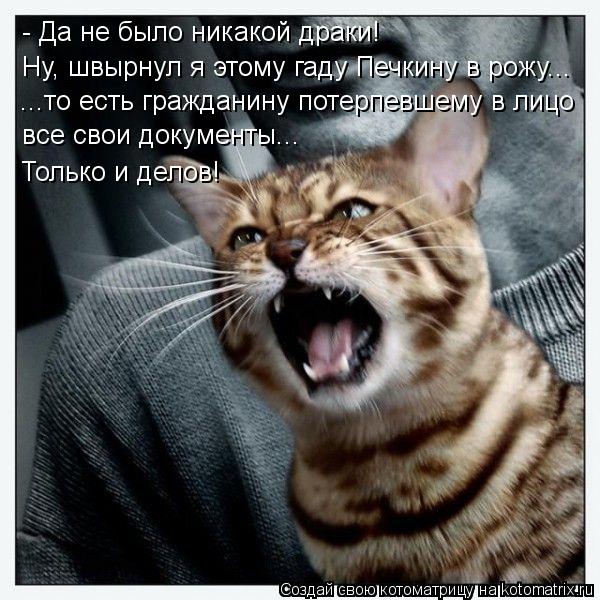 - Да не было никакой драки! Ну, швырнул я этому гаду Печкину в рожу... ...то есть гражданину потерпев... Котоматрица: - Да не было никакой драки! Ну, швырнул я этому гаду Печкину в рожу... ...то есть гражданину потерпевшему в лицо все свои документы... Только и де