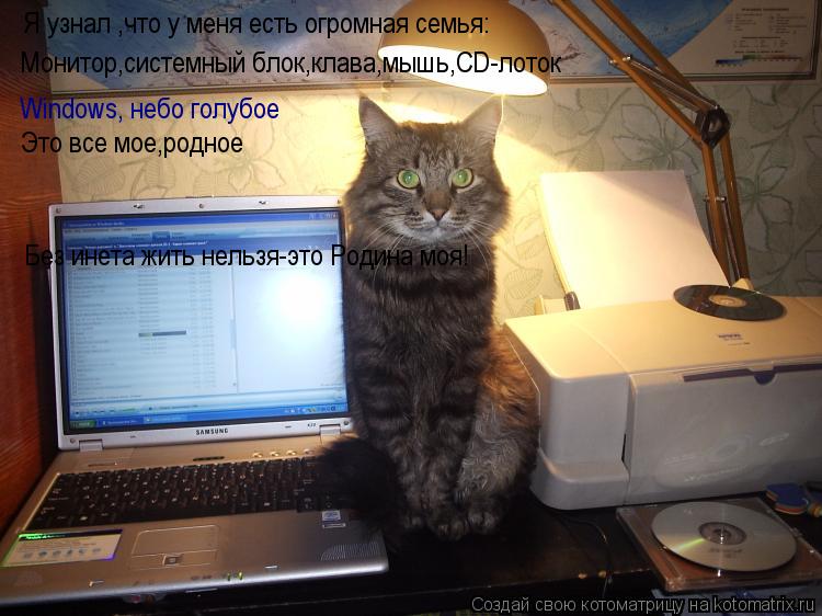 Я узнал ,что у меня есть огромная семья: Монитор,системный блок,клава,мышь,CD-лоток Windows, небо гол... Котоматрица: Я узнал ,что у меня есть огромная семья: Монитор,системный блок,клава,мышь,CD-лоток Windows, небо голубое Это все мое,родное Без инета жить нельзя