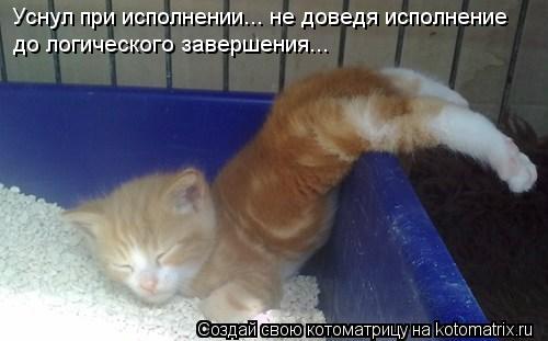 Котоматрица: Уснул при исполнении... не доведя исполнение до логического завершения...