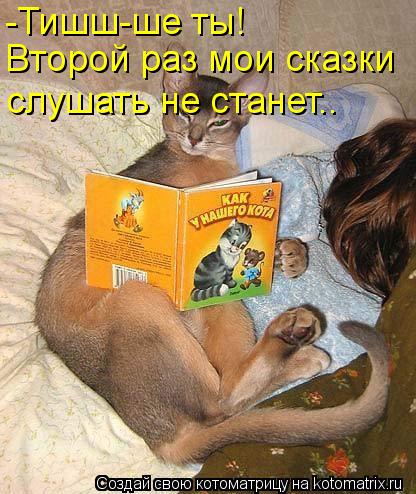 Котоматрица: -Тишш-ше ты! Второй раз мои сказки слушать не станет..