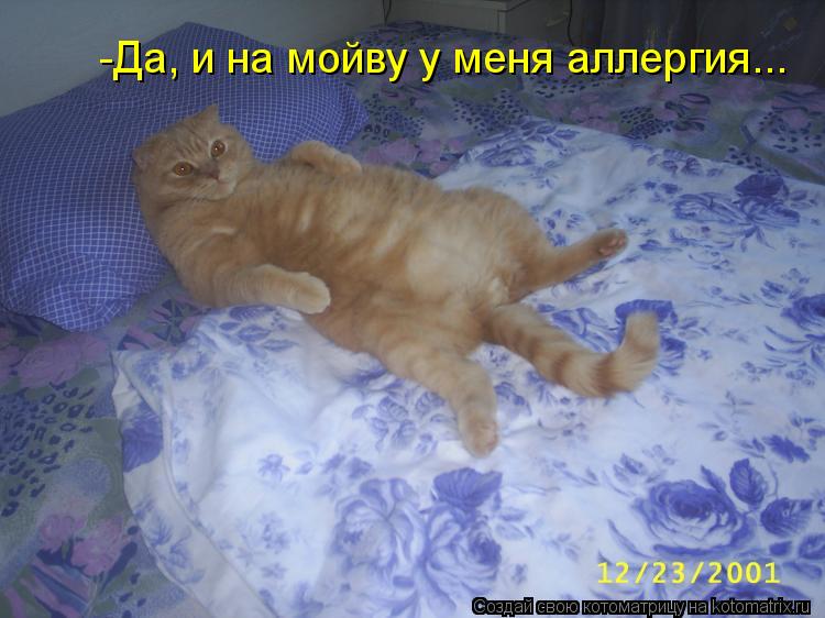 Котоматрица: -Да, и на мойву у меня аллергия...