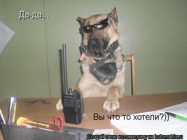 Котоматрица: Да-да... Вы что то хотели?))