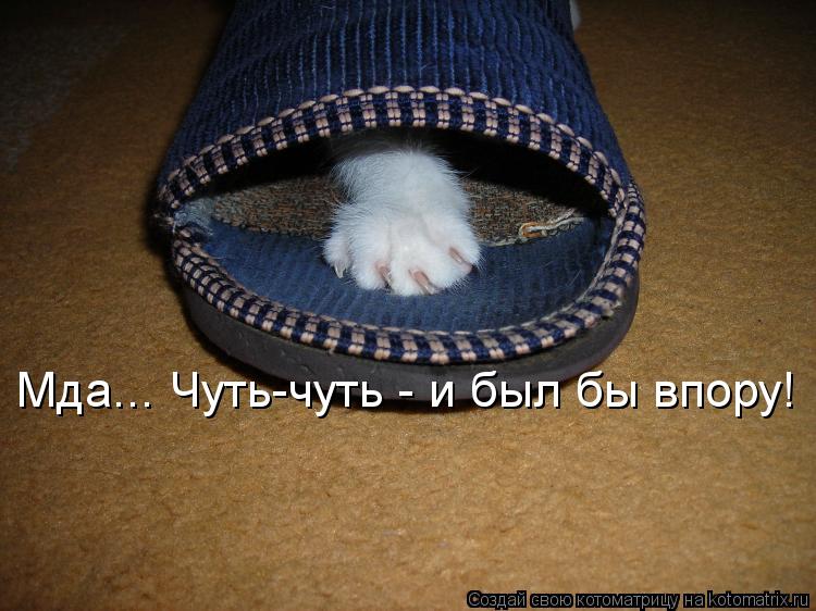 Котоматрица: Мда... Чуть-чуть - и был бы впору!