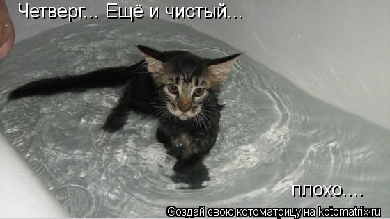 Котоматрица: Четверг... Ещё и чистый... плохо....