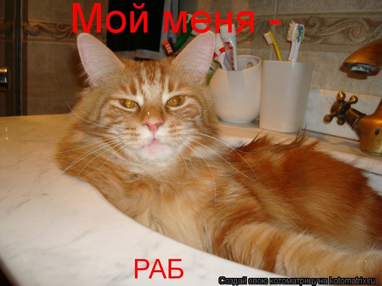 Котоматрица: Мой меня -  РАБ