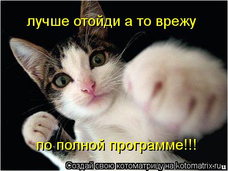 Котоматрица: по полной программе!!! лучше отойди а то врежу