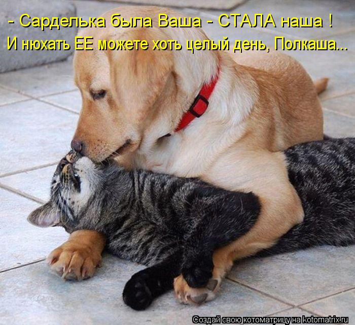 И нюхать ЕЕ можете хоть целый день, Полкаша... - Сарделька была Ваша - СТАЛА наша !... Котоматрица: И нюхать ЕЕ можете хоть целый день, Полкаша... - Сарделька была Ваша - СТАЛА наша !