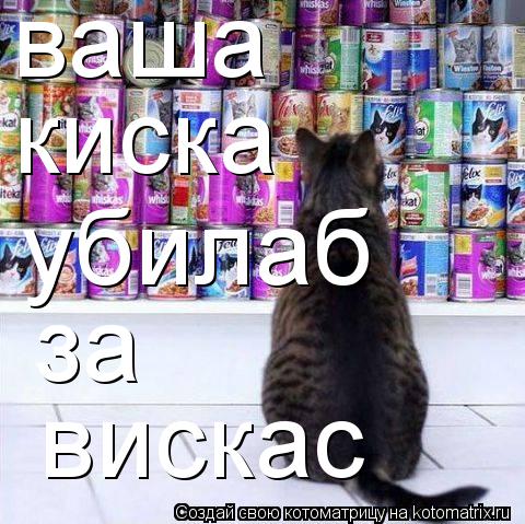 Котоматрица: ваша киска убилаб за вискас