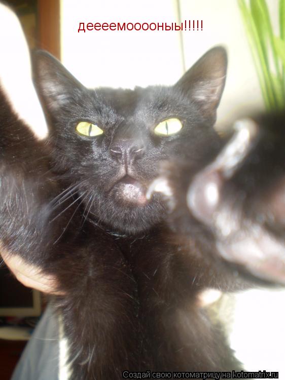 Котоматрица: деееемооооныы!!!!!
