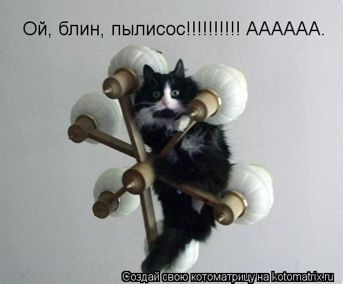 Котоматрица: Ой, блин, пылисос!!!!!!!!!! АААААА.