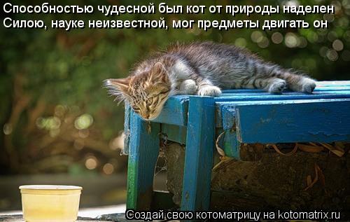Котоматрица: Способностью чудесной был кот от природы наделен Силою, науке неизвестной, мог предметы двигать он
