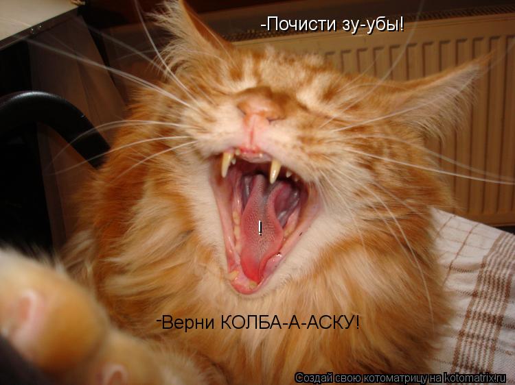 Котоматрица: Верни КОЛБА-А-АСКУ! -Почисти зу-убы! - !