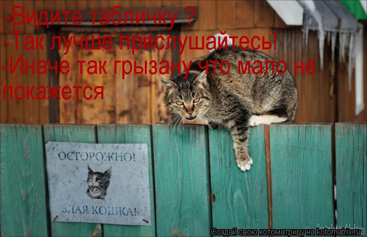 -Видите табличку ? -Так лучше прислушайтесь! -Иначе так грызану что мало не покажется... Котоматрица: -Видите табличку ? -Так лучше прислушайтесь! -Иначе так грызану что мало не покажется