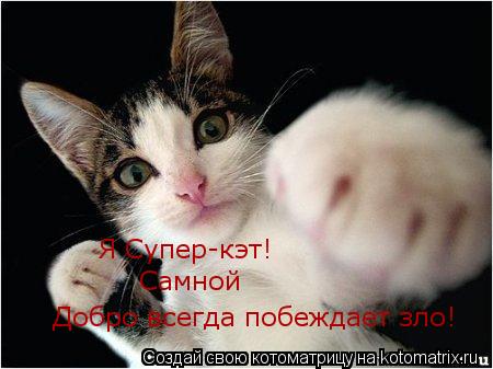 Добро всегда побеждает зло! Я Супер-кэт! Самной... Котоматрица: Добро всегда побеждает зло! Я Супер-кэт! Самной