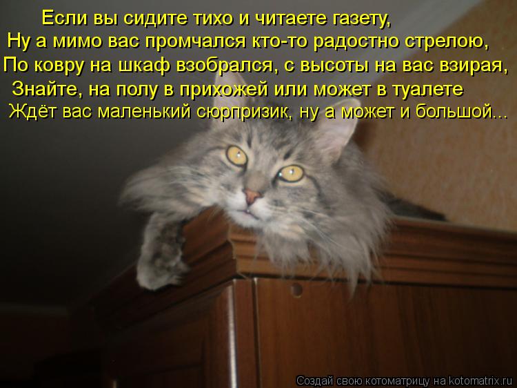 Ну а мимо вас промчался кто-то радостно стрелою, По ковру на шкаф взобрался, с высоты на вас взирая, ... Котоматрица: Ну а мимо вас промчался кто-то радостно стрелою, По ковру на шкаф взобрался, с высоты на вас взирая, Знайте, на полу в прихожей или может в туа