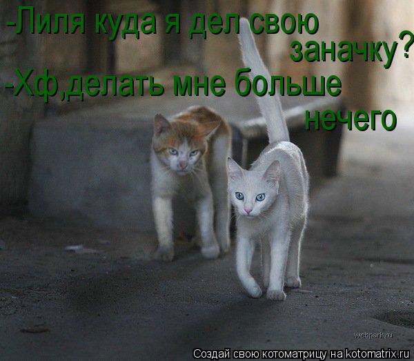-Лиля куда я дел свою заначку -Хф,делать мне больше нечего ?... Котоматрица: -Лиля куда я дел свою заначку -Хф,делать мне больше нечего ?