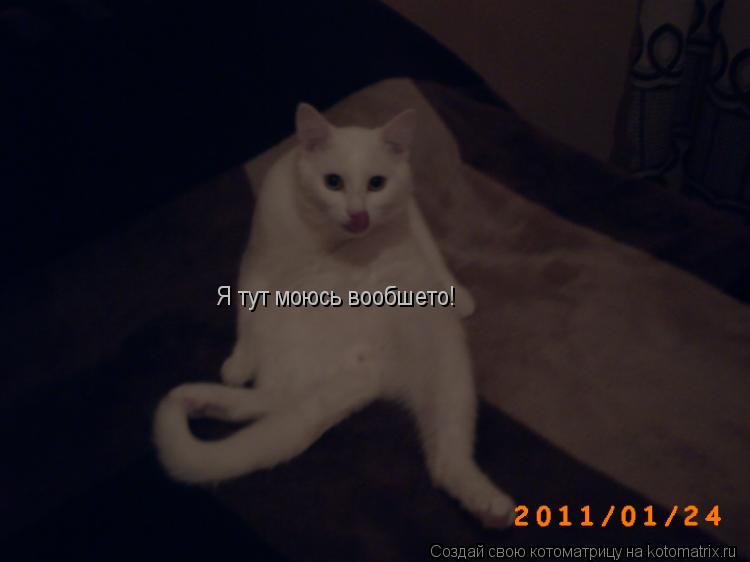Я тут моюсь вообшето!... Котоматрица: Я тут моюсь вообшето!
