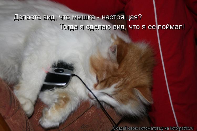 Делаете вид, что мышка - настоящая? Тогда я сделаю вид, что я ее поймал!... Котоматрица: Делаете вид, что мышка - настоящая? Тогда я сделаю вид, что я ее поймал!