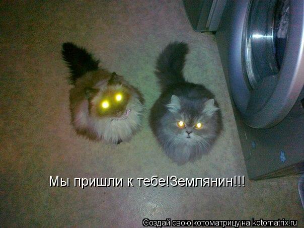 Мы пришли к тебе!Землянин!!!... Котоматрица: Мы пришли к тебе!Землянин!!!