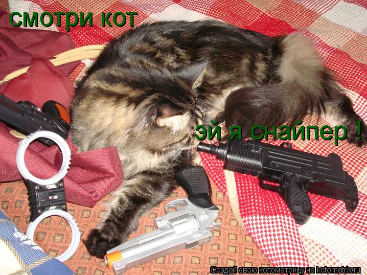 смотри кот эй я снайпер !... Котоматрица: смотри кот эй я снайпер !