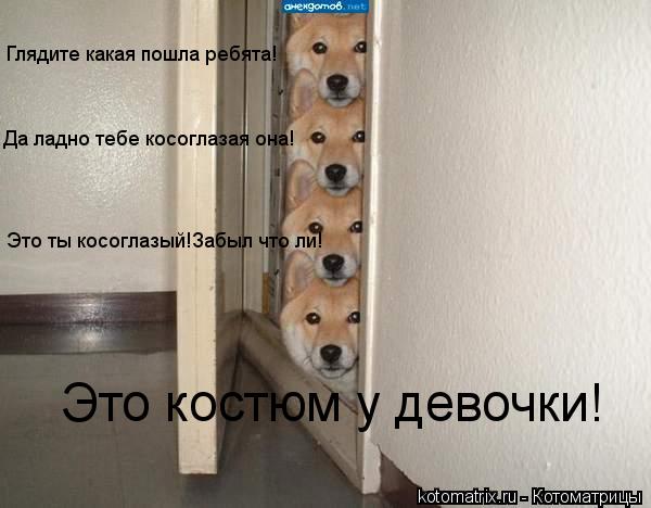 Глядите какая пошла ребята! Да ладно тебе косоглазая она! Это ты косоглазый!Забыл что ли! Это костюм ... Котоматрица: Глядите какая пошла ребята! Да ладно тебе косоглазая она! Это ты косоглазый!Забыл что ли! Это костюм у девочки!