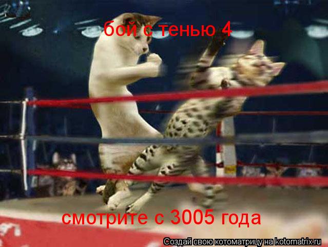 бой с тенью 4 смотрите с 3005 года... Котоматрица: бой с тенью 4 смотрите с 3005 года