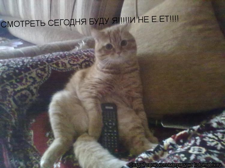 СМОТРЕТЬ СЕГОДНЯ БУДУ Я!!!!!И НЕ Е.ЕТ!!!!... Котоматрица: СМОТРЕТЬ СЕГОДНЯ БУДУ Я!!!!!И НЕ Е.ЕТ!!!!