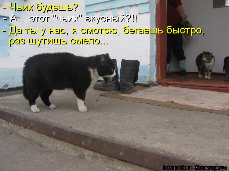 - Чьих будешь? - А... этот "чьих" вкусный?!! - Да ты у нас, я смотрю, бегаешь быстро, раз шутишь смел... Котоматрица: - Чьих будешь? - А... этот "чьих" вкусный?!! - Да ты у нас, я смотрю, бегаешь быстро, раз шутишь смело...